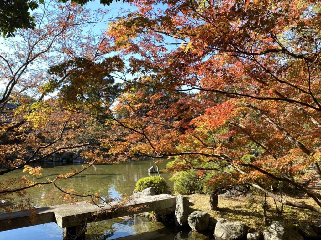 もみじ便り～紅葉の様子をお伝えします～